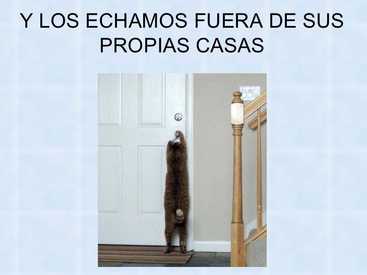 Bienvenidos al nuevo foro de apoyo a Noe #258 / 20.05.15 ~ 23.05.15 - Página 11 La-venganza-delosgatos-57-728