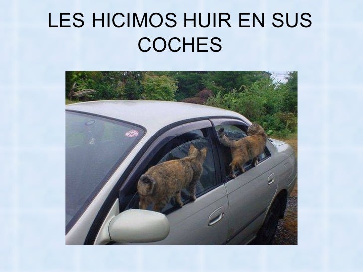 Bienvenidos al nuevo foro de apoyo a Noe #258 / 20.05.15 ~ 23.05.15 - Página 11 La-venganza-delosgatos-58-728