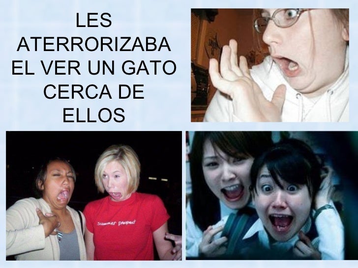 Bienvenidos al nuevo foro de apoyo a Noe #258 / 20.05.15 ~ 23.05.15 - Página 11 La-venganza-delosgatos-61-728