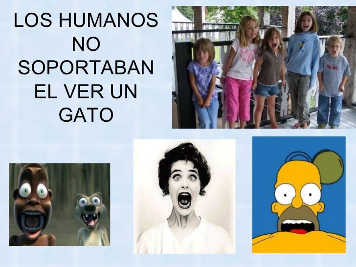 Bienvenidos al nuevo foro de apoyo a Noe #258 / 20.05.15 ~ 23.05.15 - Página 11 La-venganza-delosgatos-63-728