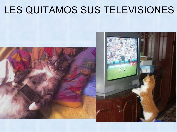 Bienvenidos al nuevo foro de apoyo a Noe #258 / 20.05.15 ~ 23.05.15 - Página 11 La-venganza-delosgatos-67-728