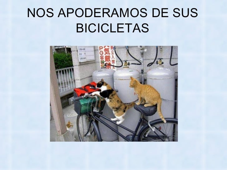 Bienvenidos al nuevo foro de apoyo a Noe #258 / 20.05.15 ~ 23.05.15 - Página 11 La-venganza-delosgatos-68-728