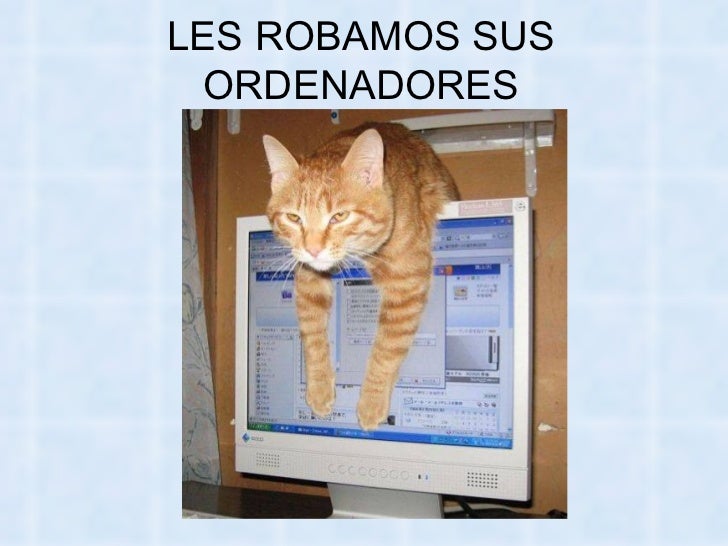 Bienvenidos al nuevo foro de apoyo a Noe #258 / 20.05.15 ~ 23.05.15 - Página 11 La-venganza-delosgatos-69-728