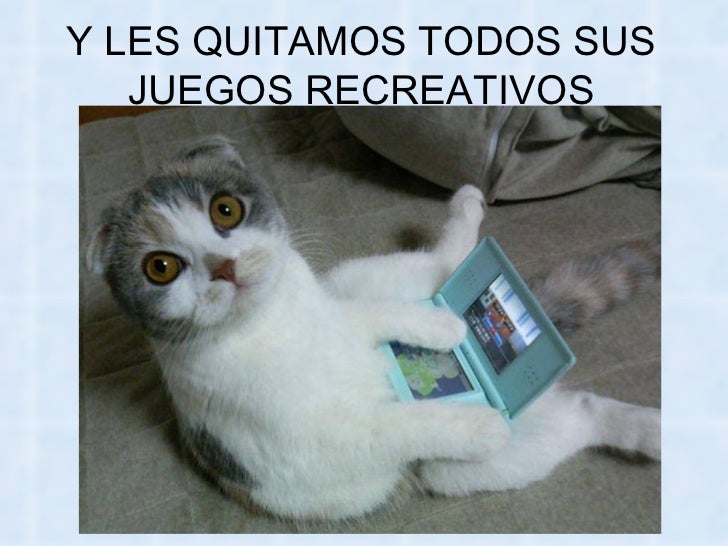 Bienvenidos al nuevo foro de apoyo a Noe #258 / 20.05.15 ~ 23.05.15 - Página 11 La-venganza-delosgatos-70-728
