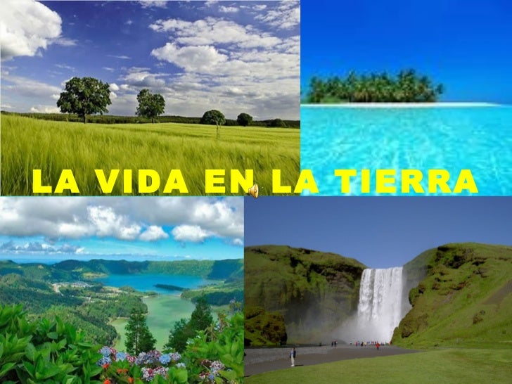 LA CREACION DE LA VIDA EN LA TIERRA la creacion de la vida en la tierra: