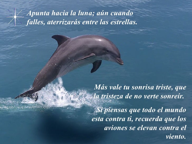 http://image.slidesharecdn.com/lavidaexcelentemensaje-1229315295427029-3/95/la-vida-excelente-mensaje-2-728.jpg?cb=1229286604