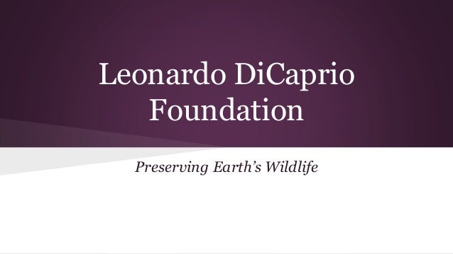 Leonardo DiCaprio Foundation Leonardo Dicaprio Foundation