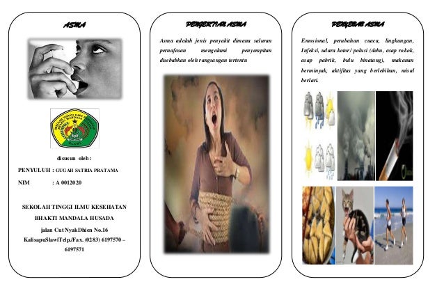 Leaflet asma