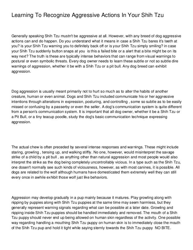 shih tzu aggressive learning to recognize aggressive actions in your shih tzu shih tzu aggressive learning to recognize aggressive actions in your shih tzu