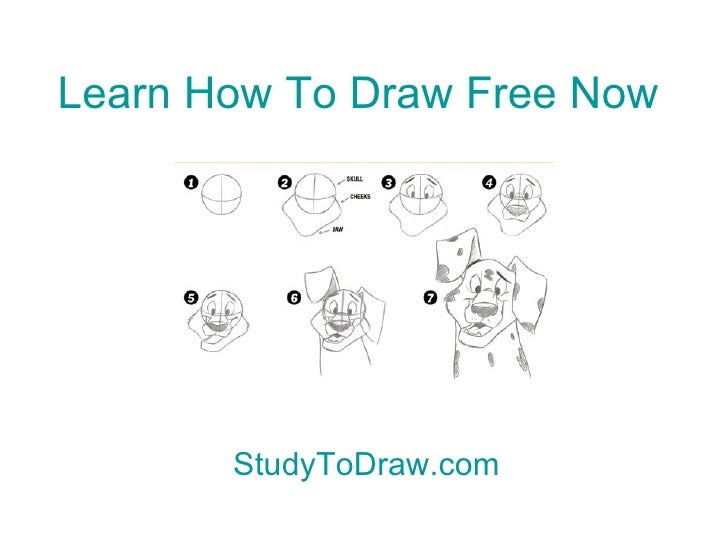 Learn to draw for beginners