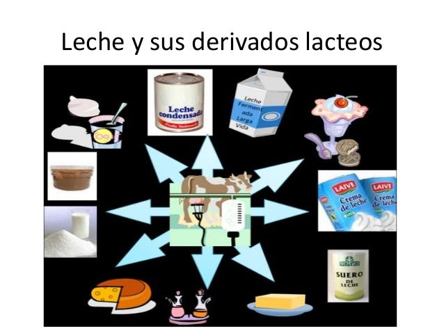 LA LECHE Y SUS DERIVADO la leche y sus derivado:
