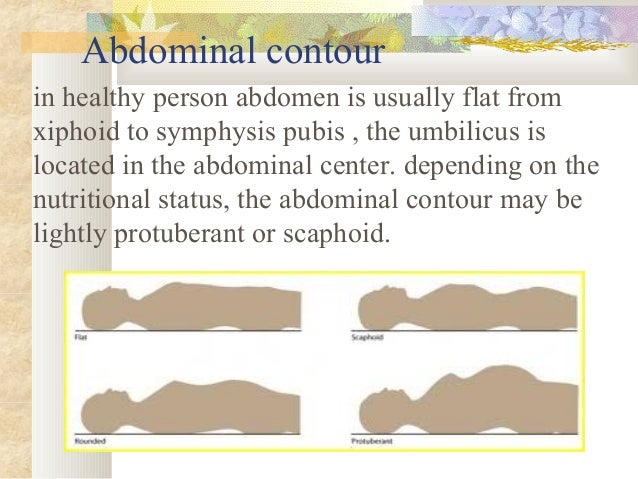 abdominal contour definition abdominal contour definition