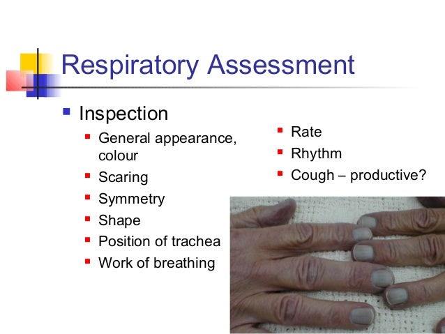 neurological assessment