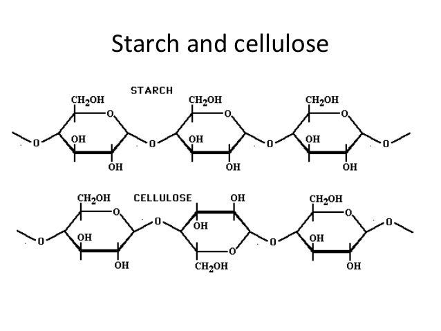 Gallery For Cellulose Vs Starch Structure
