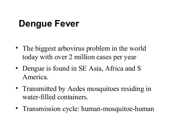 virulent dengue fever Dengue virus type 4 (denv-4) was first reported in the americas in 1981, where it caused epidemics of dengue fever throughout the region in the same year, the region's first epidemic of dengue hemorrhagic fever was reported, caused by an asian strain of dengue virus type 2 (denv-2) that was. virulent dengue fever Dengue virus type 4 (denv-4) was first reported in the americas in 1981, where it caused epidemics of dengue fever throughout the region in the same year, the region's first epidemic of dengue hemorrhagic fever was reported, caused by an asian strain of dengue virus type 2 (denv-2) that was.