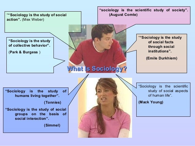 Sociology | Definition of Sociology by Merriam-Webster