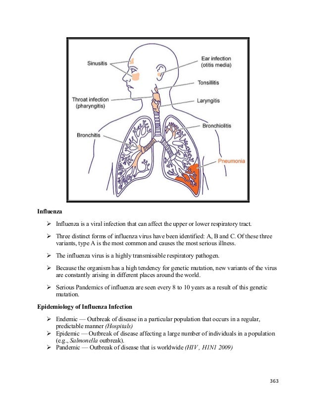 Respiratory Essay Essay Service Jqpapernfdwneolithicceltsinfo Respiratory Essay Respiratory System Essay Of Birds Order Of Essay Tree Plantation About Museums Essay Nutrition How To Write A Proposal Essay Paper also Essay About Healthy Diet Easy Essay Topics For High School Students