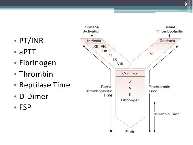 lecture 3 spring 2014 adp conversion chart