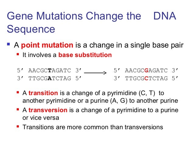 mutation essay mutation essay
