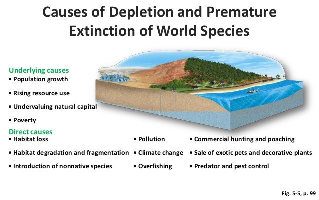 preventing extinction and world change essay preventing extinction and world change essay