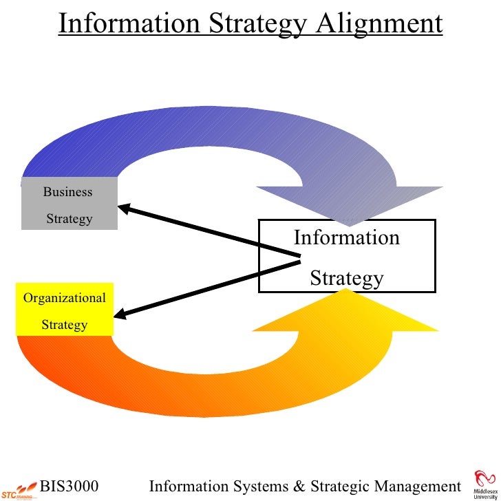 importance of information technology in business management importance of information technology in business management