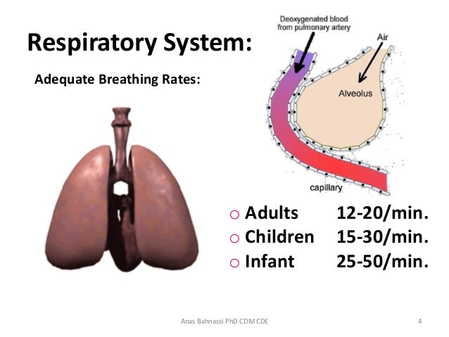 Adult Respiratory Rate 110