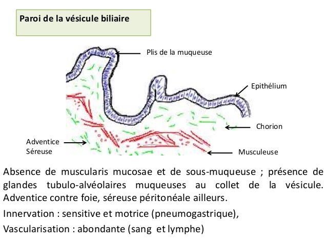 Comme faire pijmou et polyn des parasites