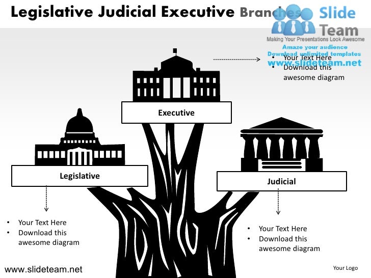 diagram of executive branch wiring diagram ppt wiring free engine image for user diagram of executive branch wiring diagram ppt wiring free engine image for user