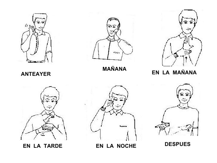 En es posible adelgazar cuánto sobre el té con limón verde