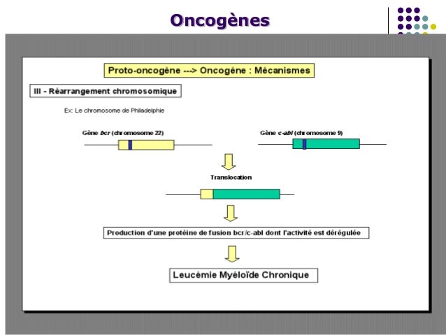 Lymphome Gastrique Pronostic