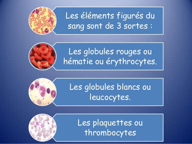 Chez les parasites intercellulaires