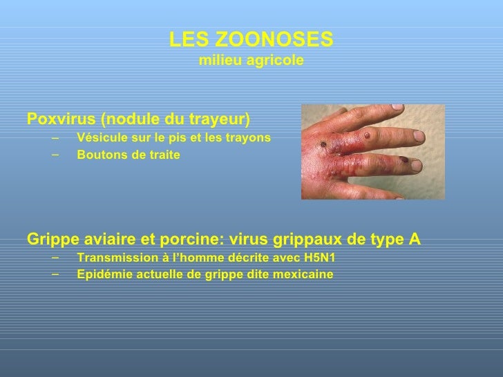 zocor versus crestor zocor versus crestor