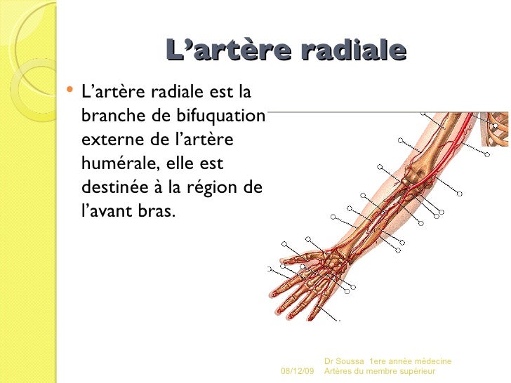 Un très long membre pour la petite