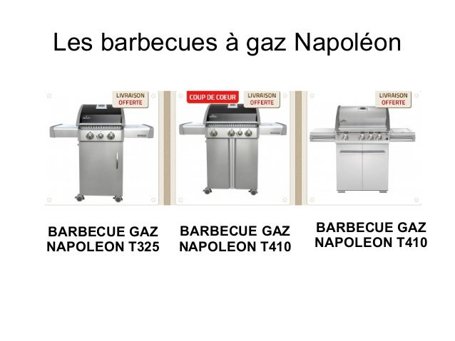 barbecue gaz napoleon t410