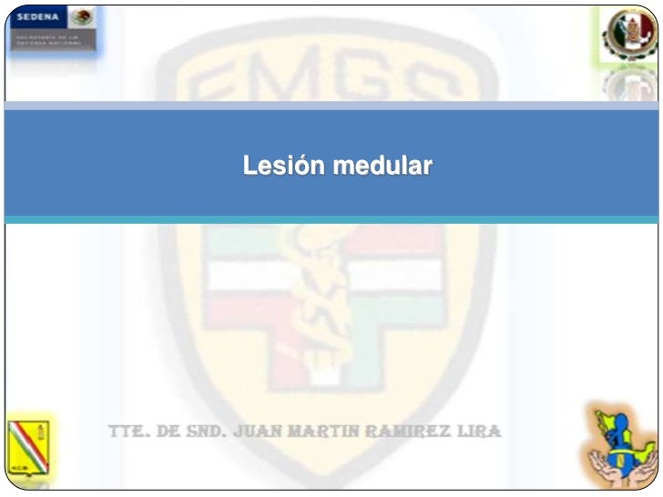 LESION MEDULAR lesion medular: