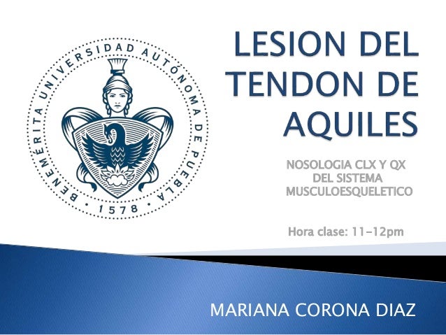 LESION TENDON lesion tendon:
