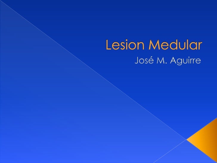 LESION MEDULAR lesion medular: