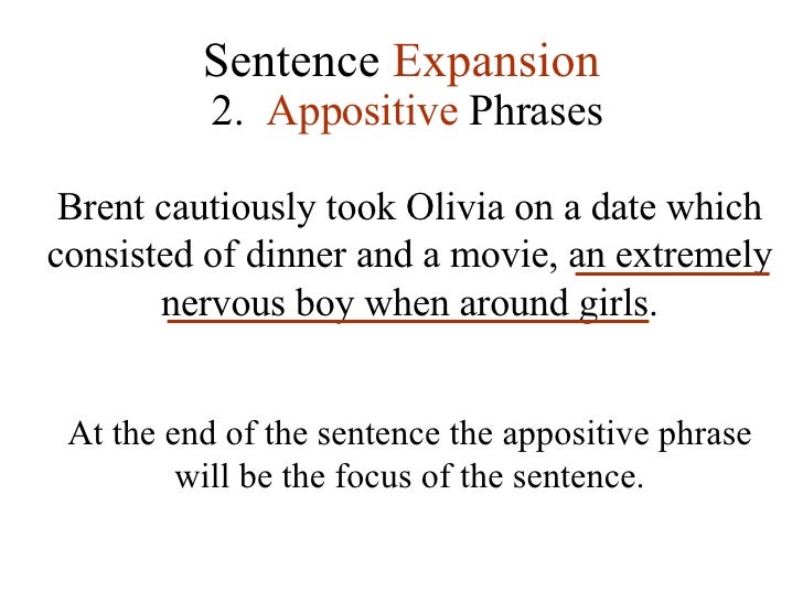 Lesson 3 Sentence Expansion