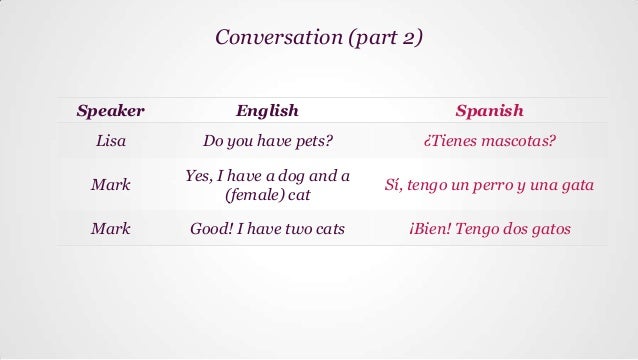 Basic Spanish | Lesson 12 | Talking about family, friends and pets!