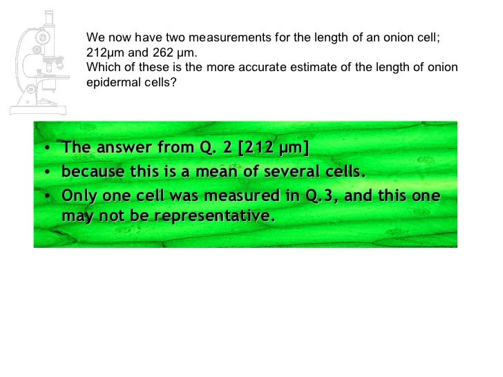 AS Biology Lesson 2 Measuring Cells