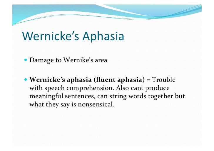 wernickes aphasia disorder essay wernickes aphasia disorder essay