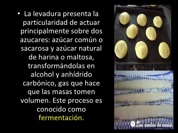 El medio contra el hongo de las uñas en las manos y los pies