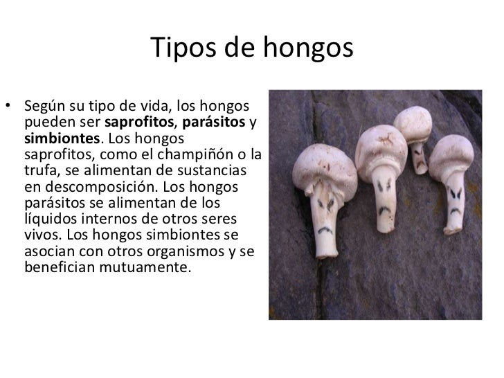 Que curar el absceso sobre el dedo del pie cerca de la uña el ungüento