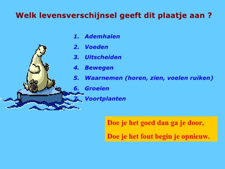 Levensverschijnselen