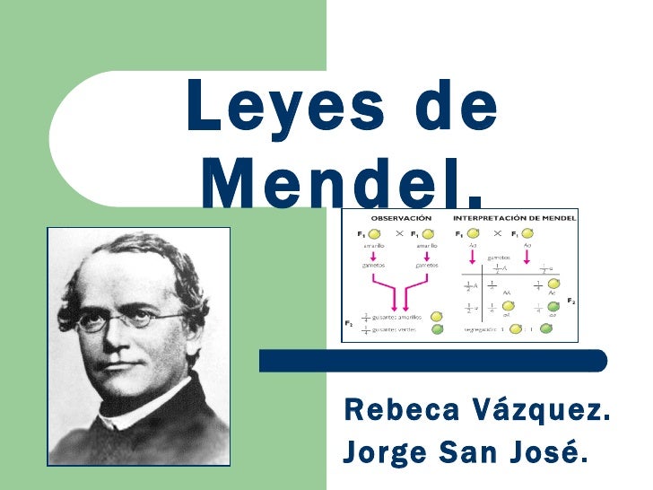 LEY DE MENDEL ley de mendel: