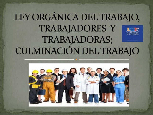 LEY AND ORGANICA AND 1 2004 ley and organica and 1 2004: