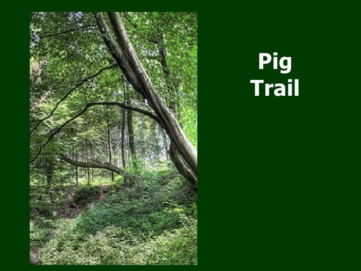 Lord of the Flies Pictures