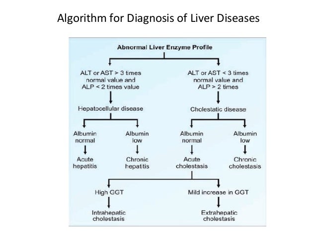 liver function test kidney function test normal range chart
