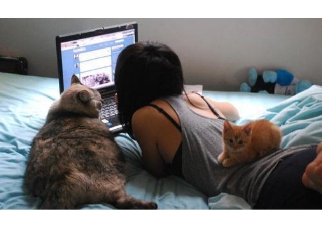 live meeting seksi wikipedia live meeting seksi wikipedia