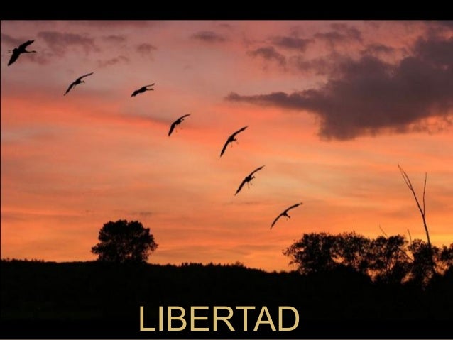 Libertad del ser humano